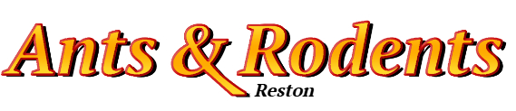 Reston Ant Exterminator & Rodent Control Company Logo
